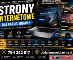 Strony internetowe dla firm od czyszczenia tapicerki samochodowej - szybka realizacja