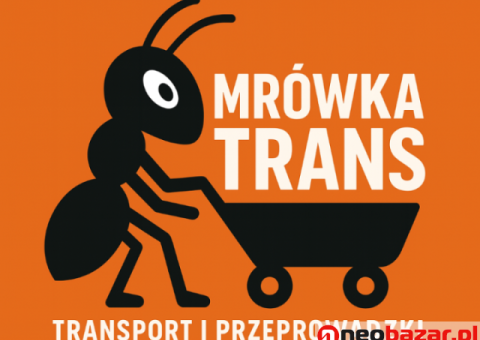 Przeprowadzki i transport Szczecin - Szybko i tanio