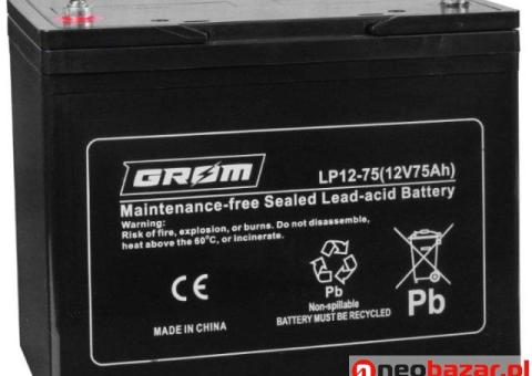Akumulator żelowy 12V 75Ah Grom LP12-75 - 1/3